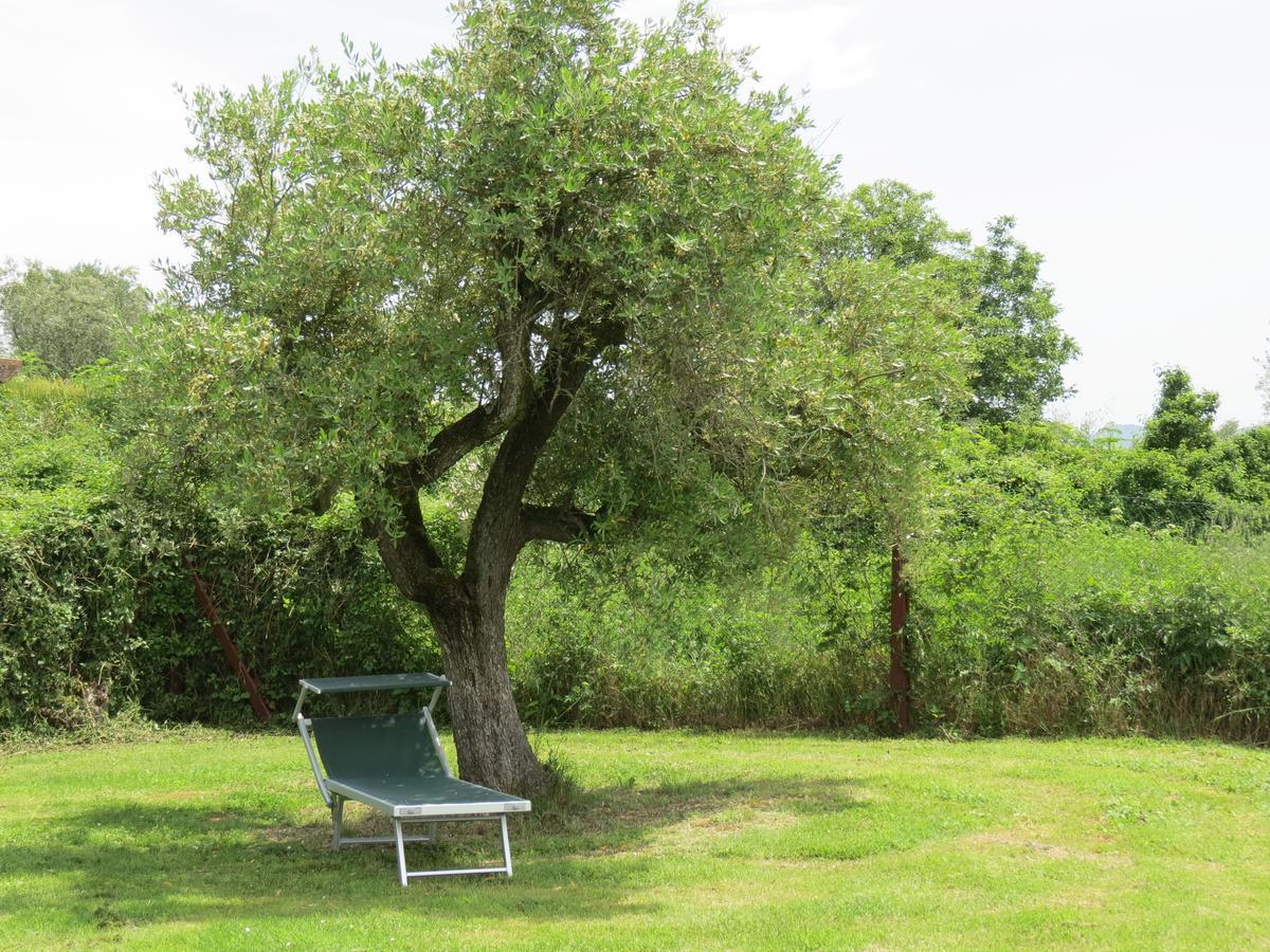 Agriturismo Borgo Del Papa Badia  외부 사진